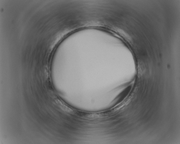 X0000077391212200611101746