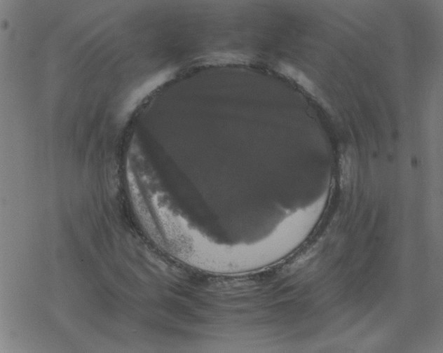 X0000077391213200611101746