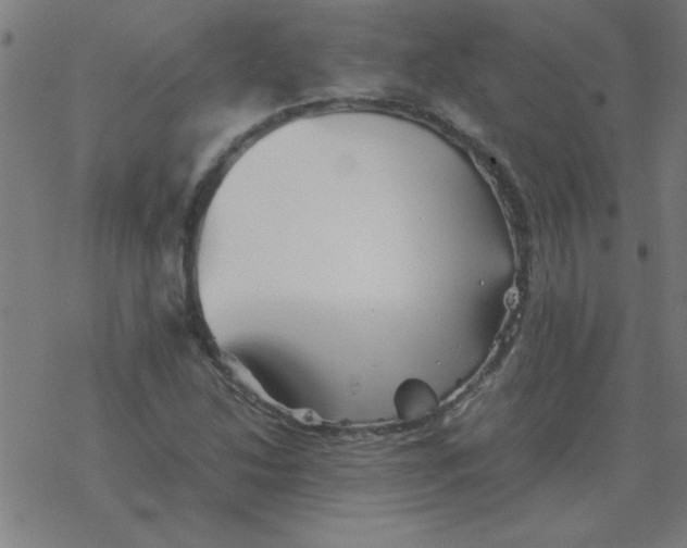 X0000077391214200611101746