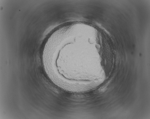 X0000077391215200611101746