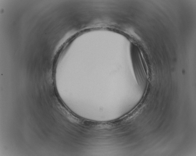 X0000077391216200611101746