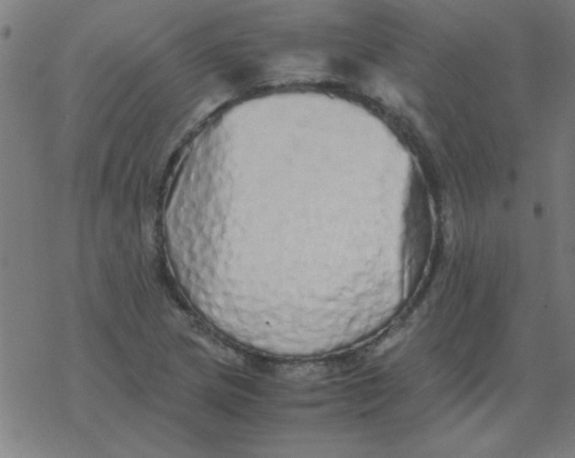 X0000077391217200611101746