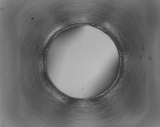 X0000077391218200611101746