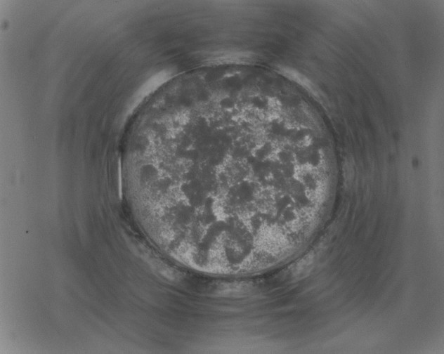 X0000077391219200611101746