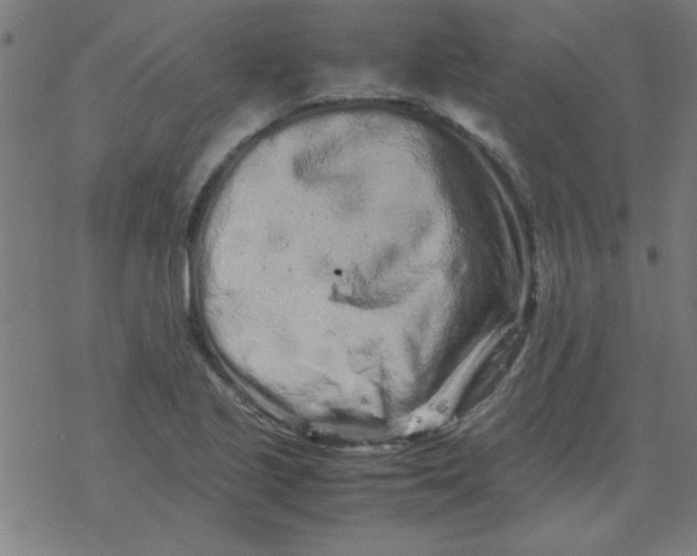 X0000077391221200611101746