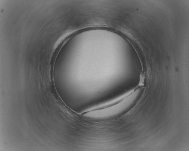 X0000077391222200611101746