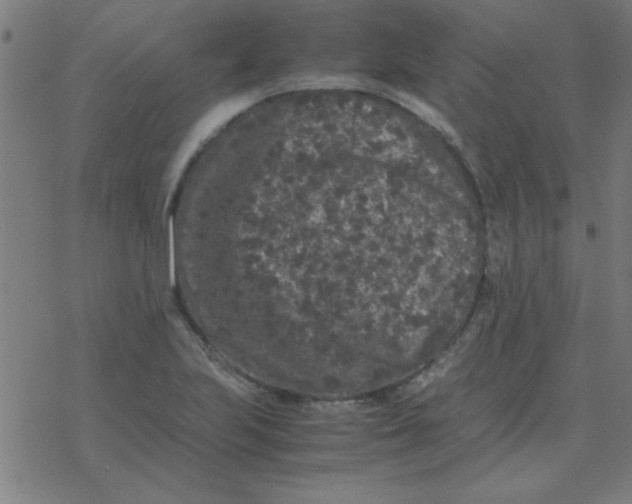 X0000077391223200611101746