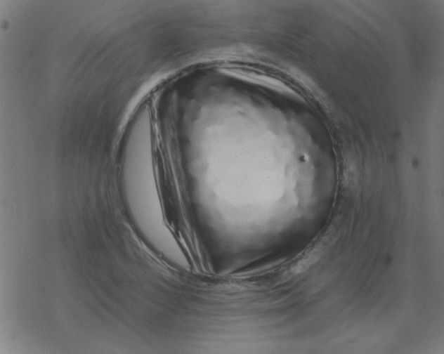 X0000077391224200611101746