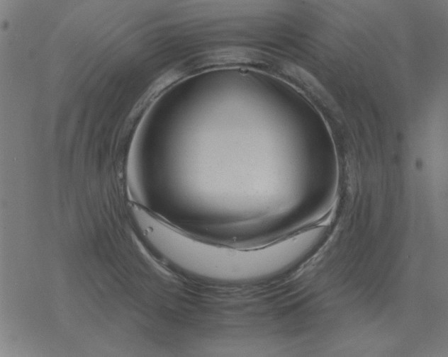 X0000077391225200611101746