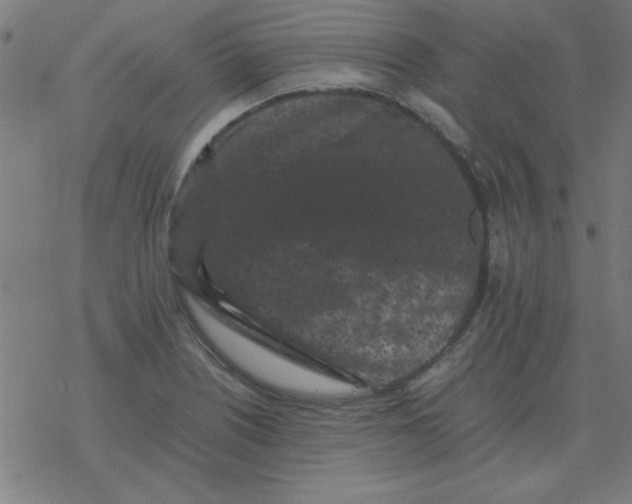 X0000077391226200611101746