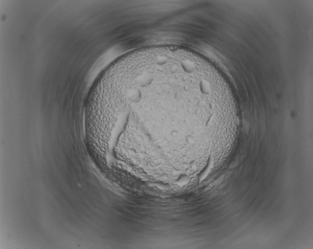 X0000077391227200611101746