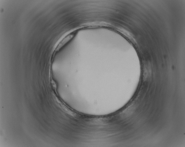 X0000077391228200611101746