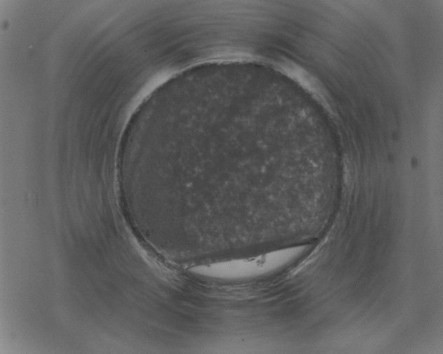 X0000077391229200611101746