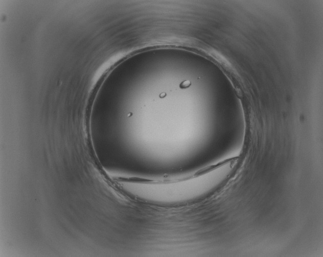 X0000077391230200611101746