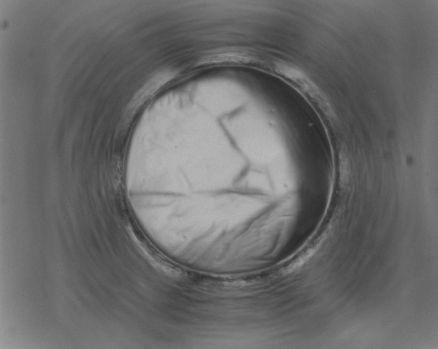 X0000077391233200611101746