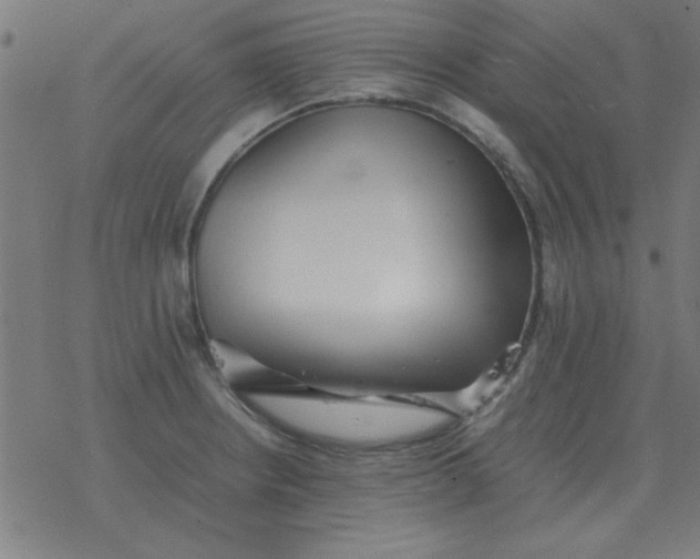 X0000077391234200611101746