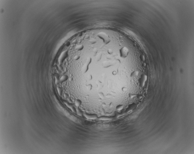 X0000077391235200611101746