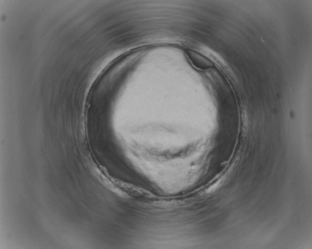 X0000077391236200611101746