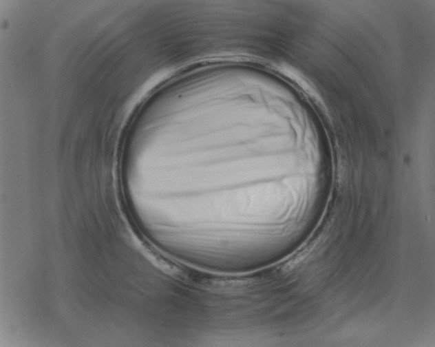 X0000077391237200611101746