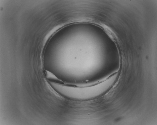 X0000077391238200611101746