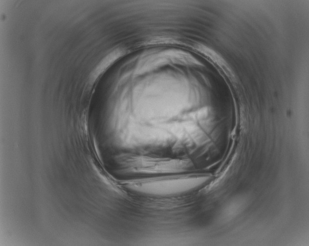 X0000077391241200611101746