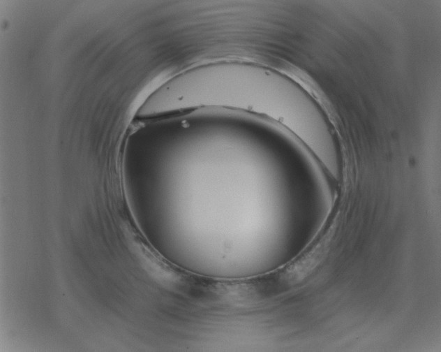 X0000077391242200611101746