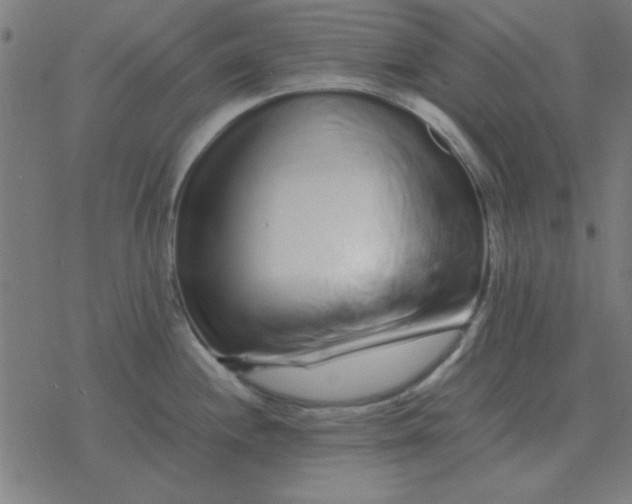 X0000077391244200611101746