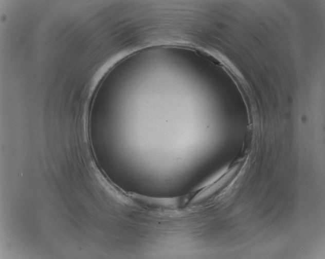 X0000077391246200611101746