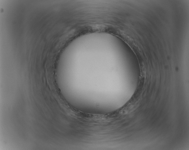 X0000077391249200611101746