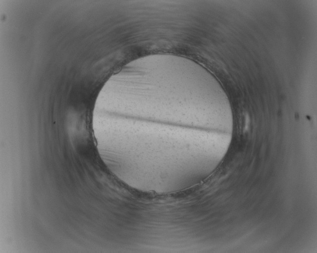 X0000077391250200611101746