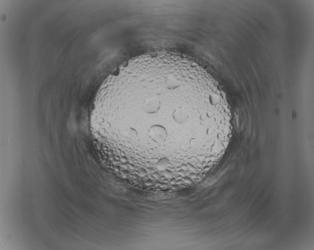 X0000077391251200611101746