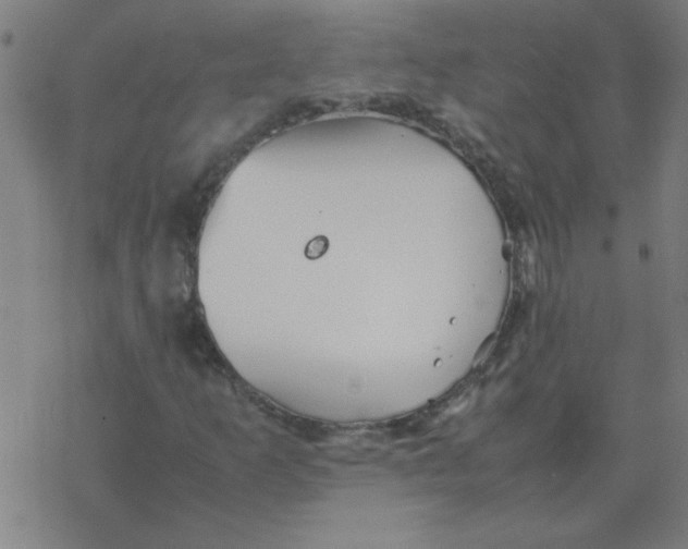 X0000077391253200611101746