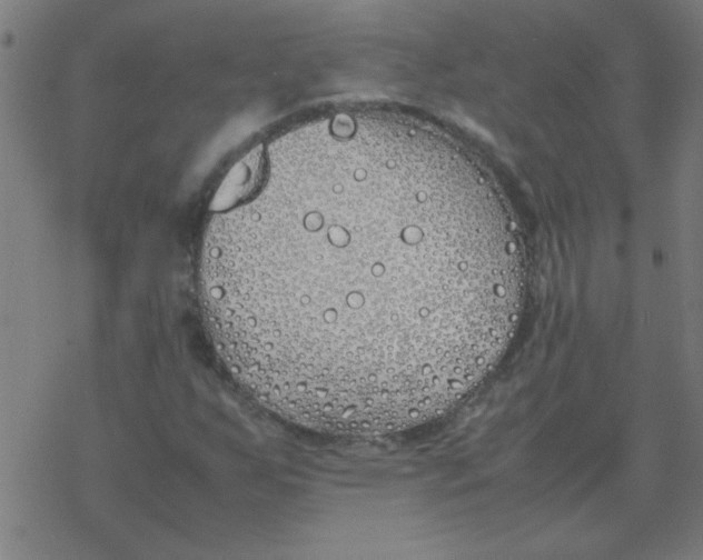 X0000077391255200611101746