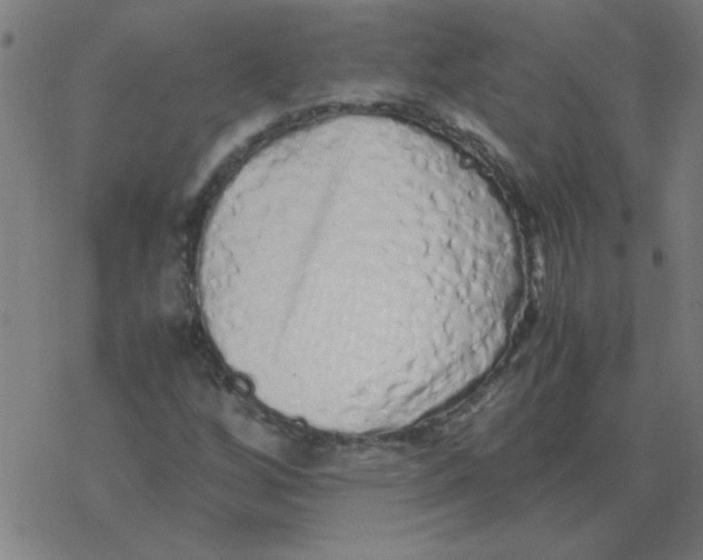 X0000077391256200611101746