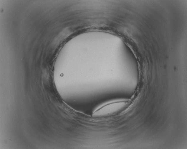 X0000077391257200611101745