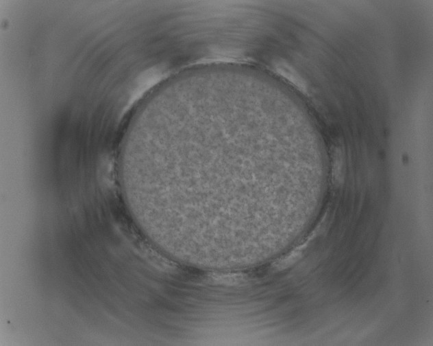 X0000077391258200611101745