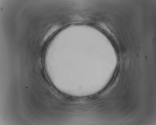 X0000077391259200611101745