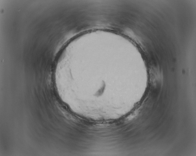 X0000077391260200611101745