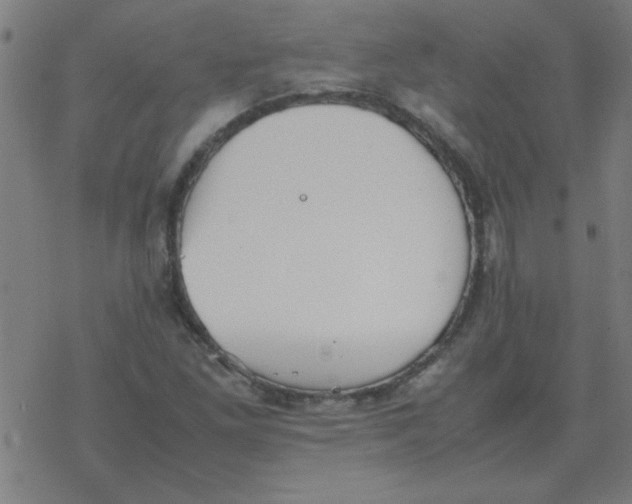 X0000077391261200611101745