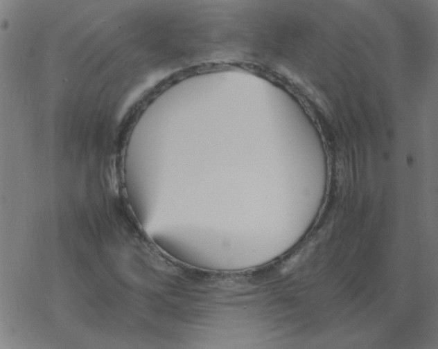 X0000077391262200611101745