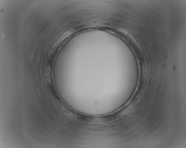 X0000077391265200611101745