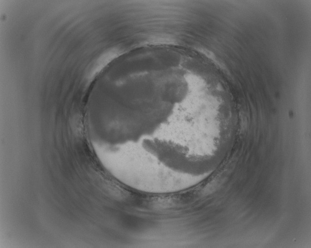 X0000077391266200611101745