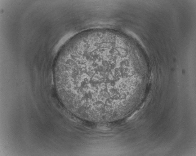 X0000077391267200611101745