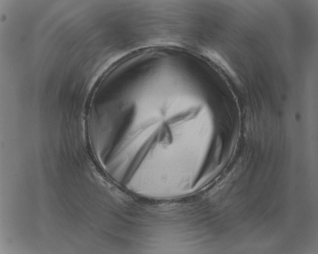 X0000077391268200611101745