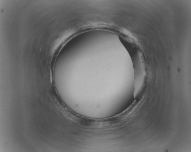 X0000077391269200611101745