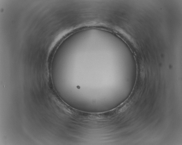 X0000077391270200611101745