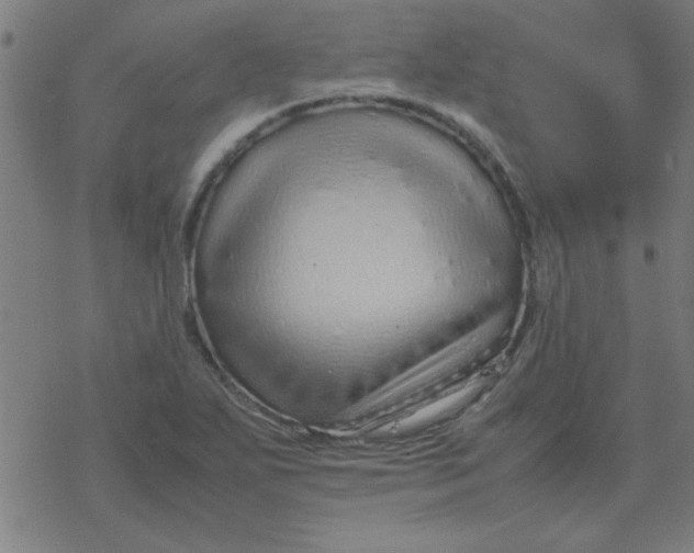 X0000077391271200611101745