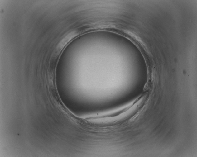 X0000077391273200611101745