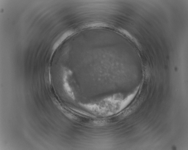 X0000077391274200611101745