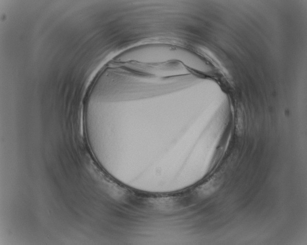 X0000077391276200611101745